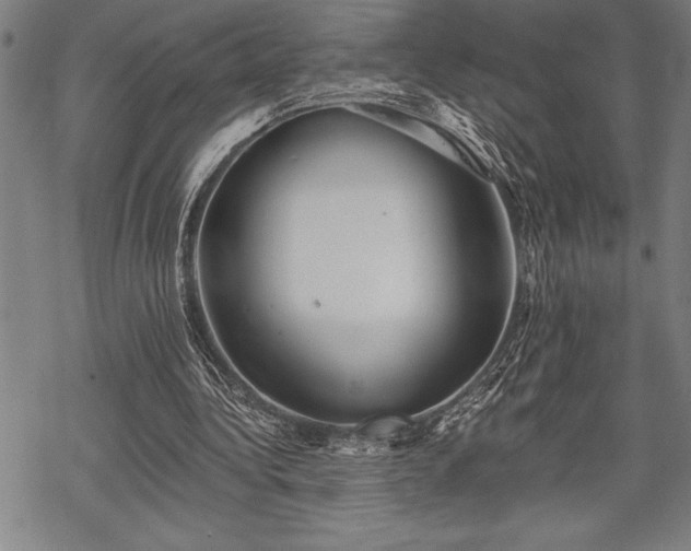 X0000069380340200605150923