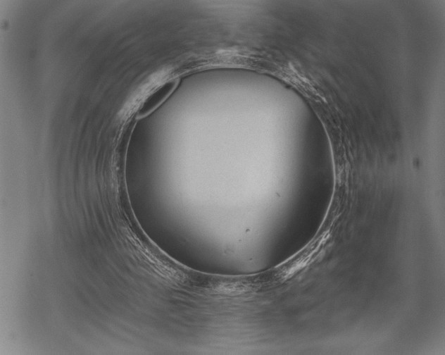 X0000069380341200605150923