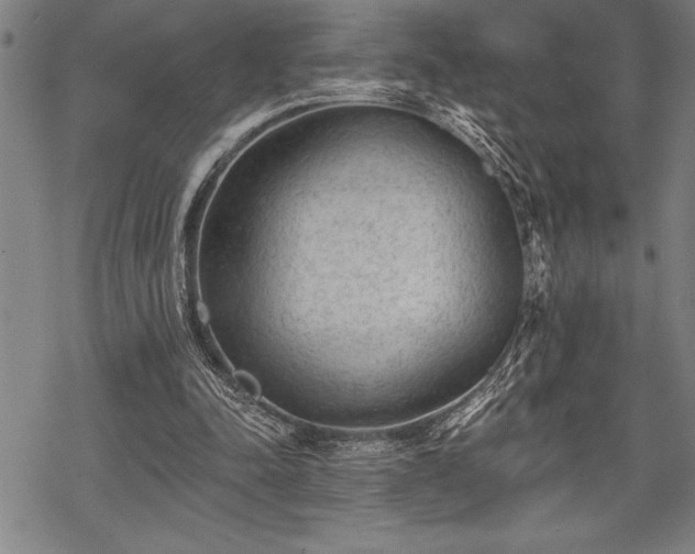 X0000069380342200605150923