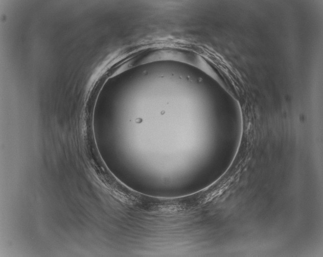 X0000069380344200605150923