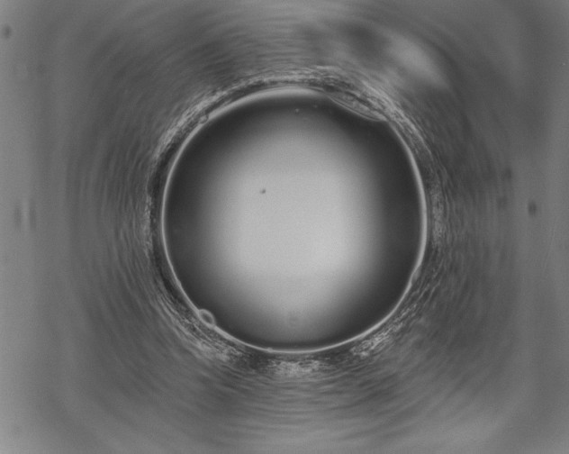 X0000069380346200605150923