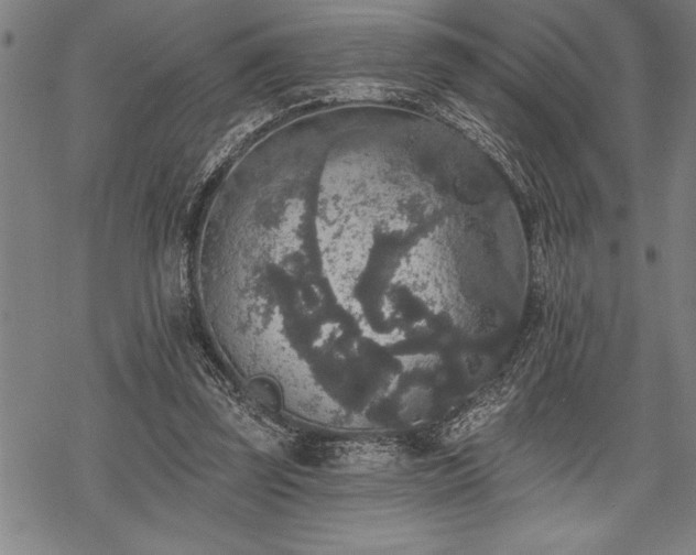 X0000069380347200605150923