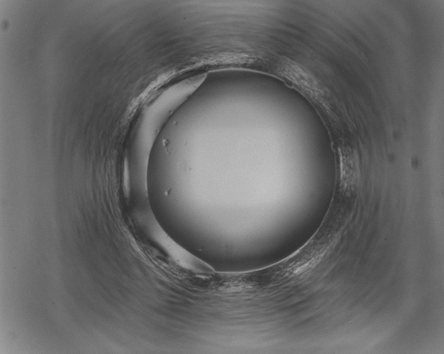 X0000069380348200605150923