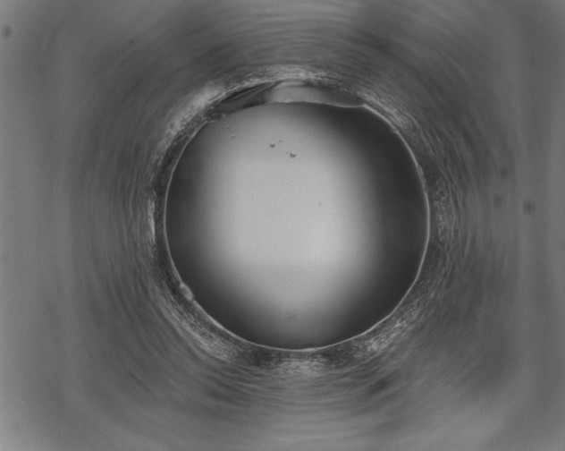 X0000069380350200605150923