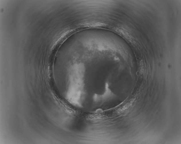 X0000069380351200605150923