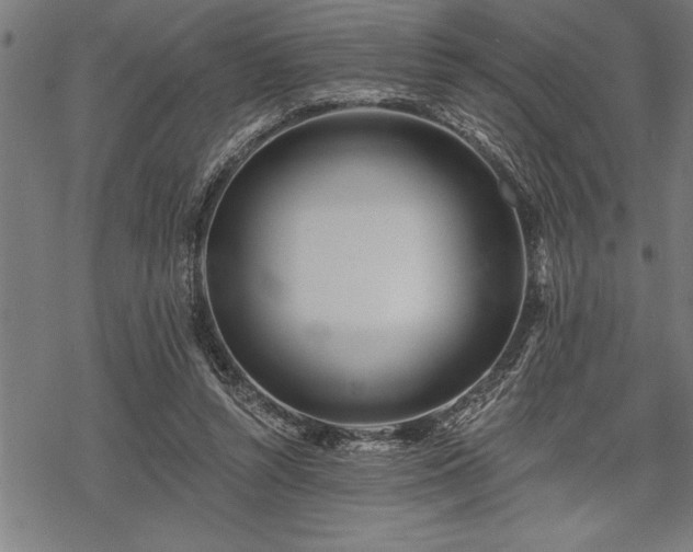 X0000069380352200605150923