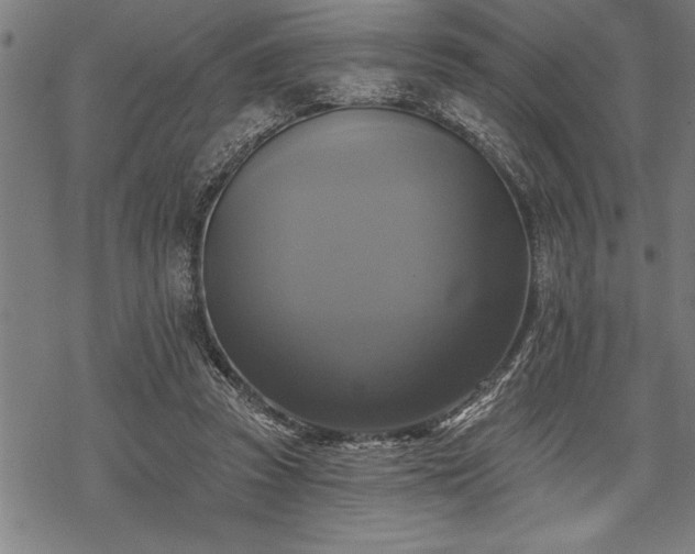 X0000069380353200605150923