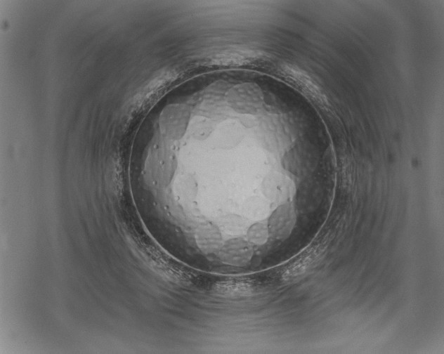 X0000069380354200605150923