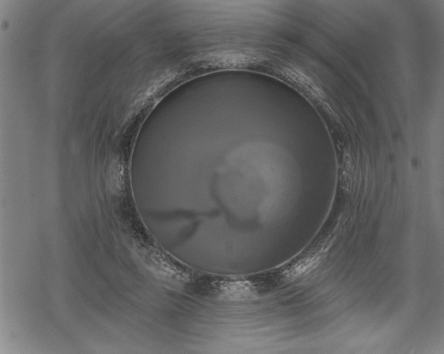 X0000069380355200605150923