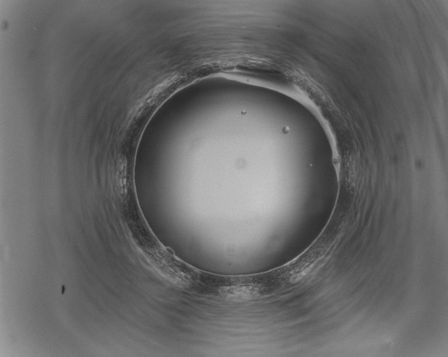 X0000069380356200605150923