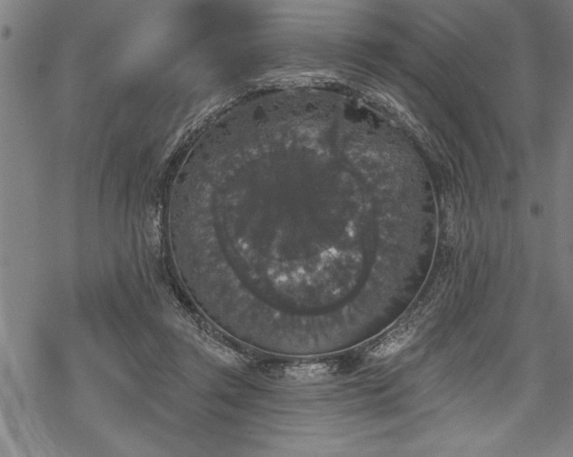 X0000069380357200605150923