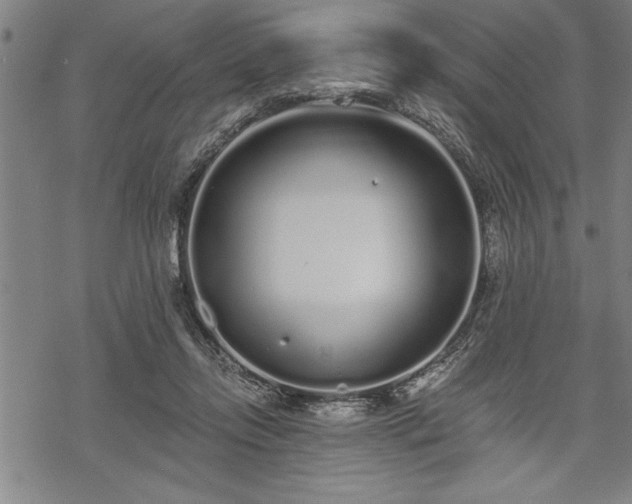 X0000069380358200605150923