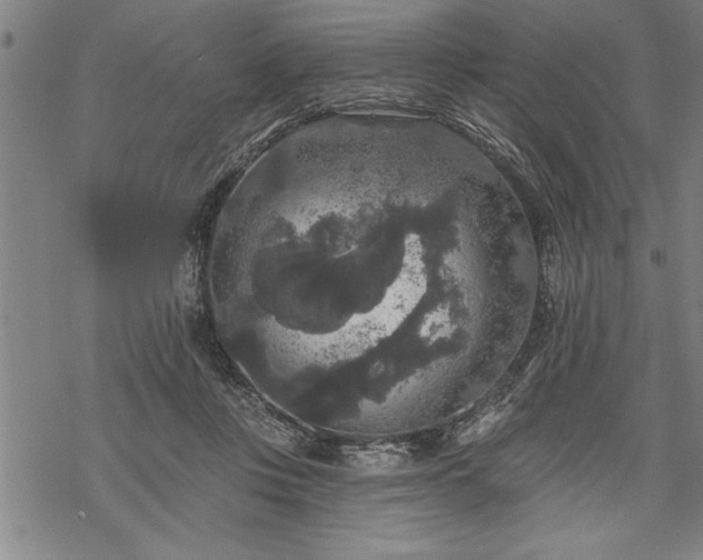 X0000069380359200605150923