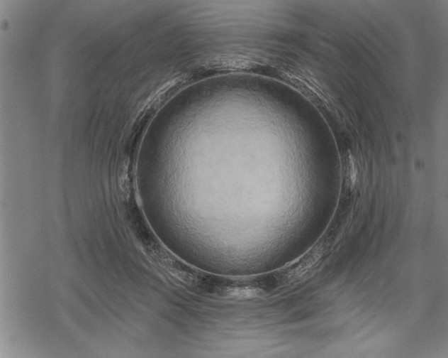 X0000069380360200605150923