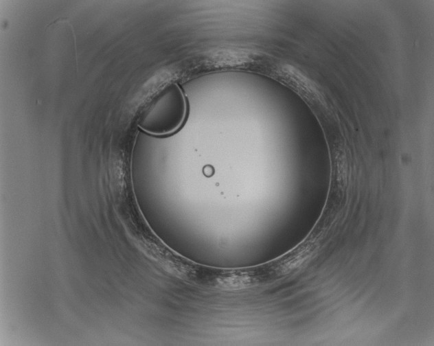 X0000069380362200605150923