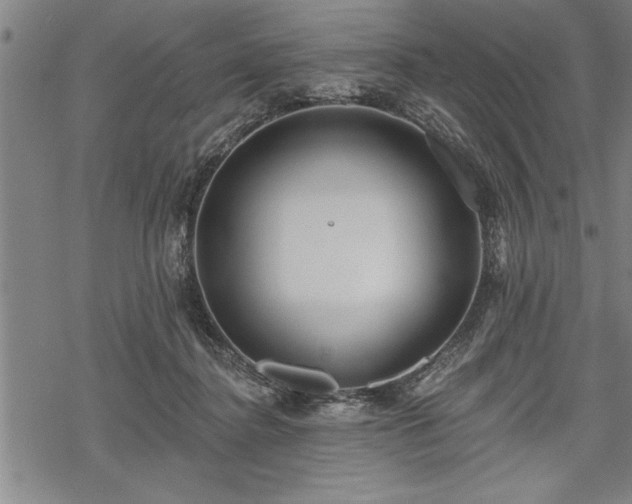 X0000069380364200605150923