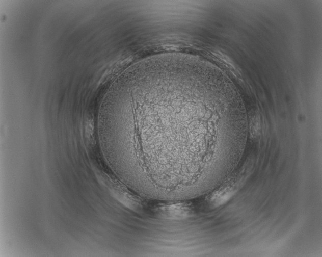 X0000069380365200605150923