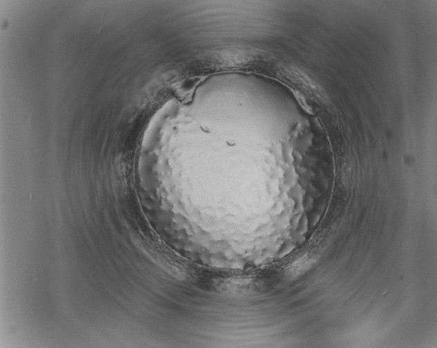 X0000069380366200605150923