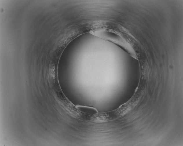 X0000069380368200605150923