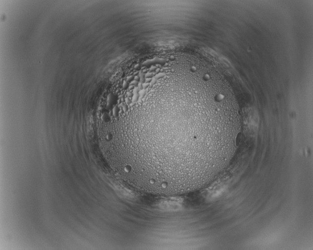 X0000069380369200605150923