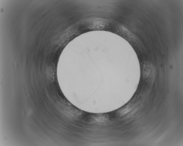 X0000069380370200605150923