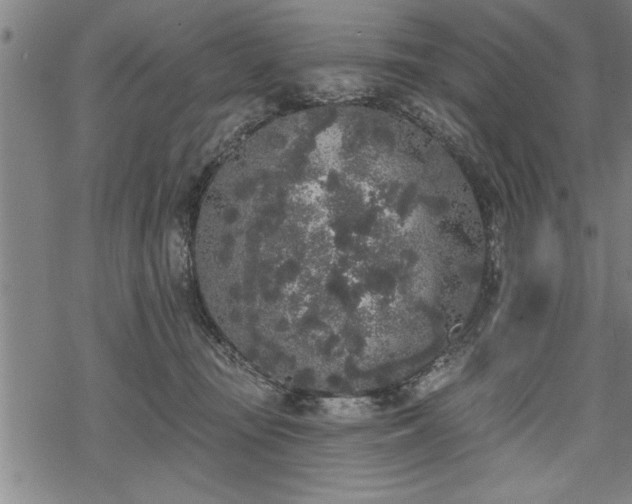 X0000069380371200605150923