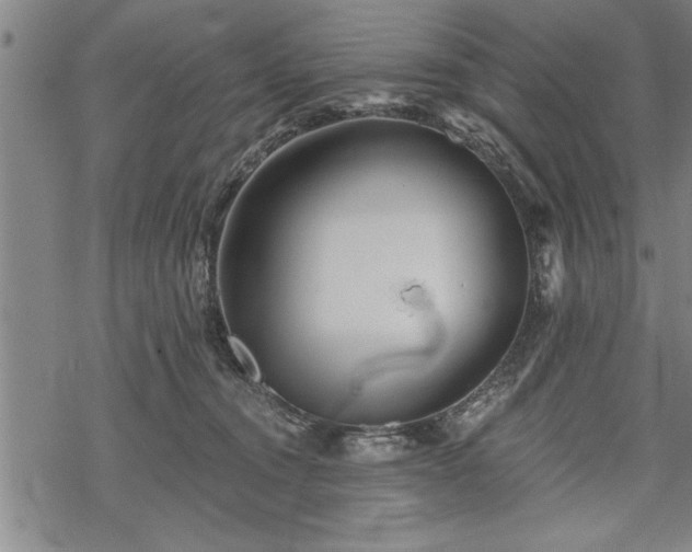 X0000069380372200605150923