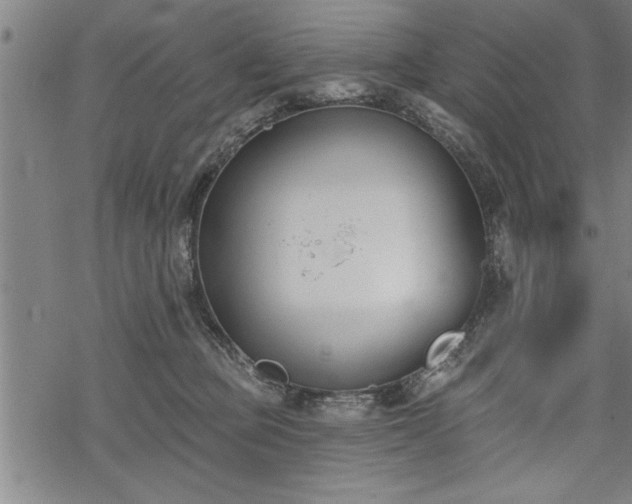 X0000069380373200605150924