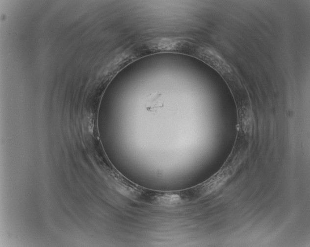 X0000069380374200605150924