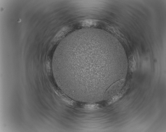 X0000069380375200605150924