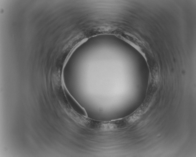 X0000069380376200605150924