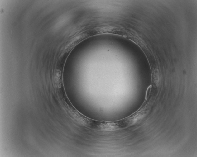 X0000069380378200605150924