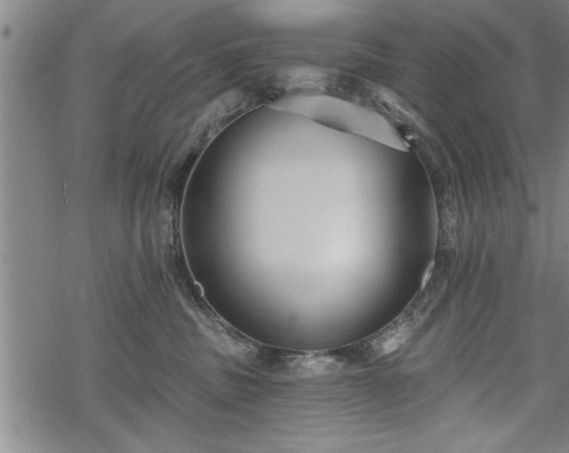 X0000069380379200605150924