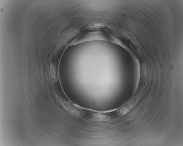 X0000069380380200605150924