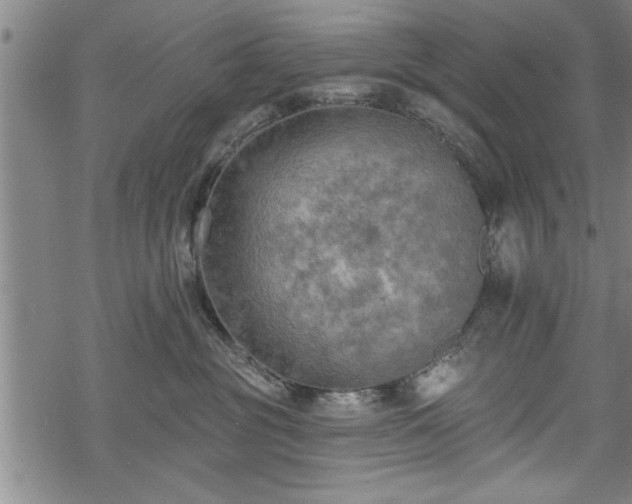 X0000069380381200605150924