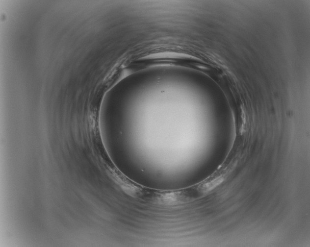 X0000069380382200605150924