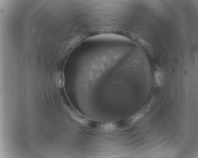 X0000069380383200605150924