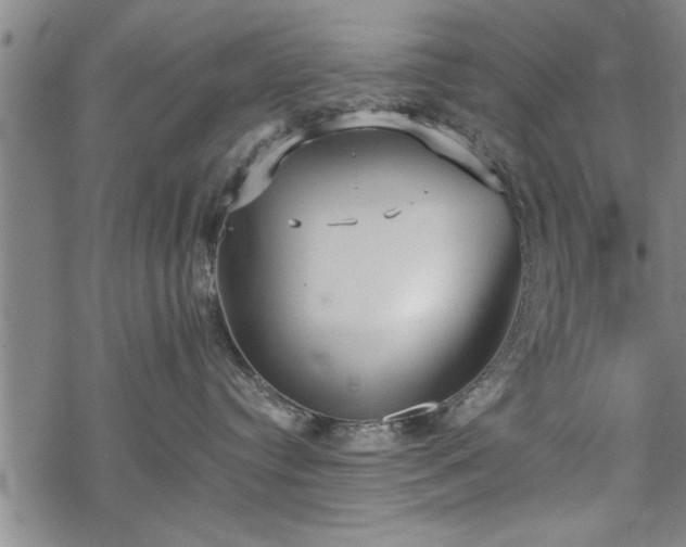 X0000069380384200605150924