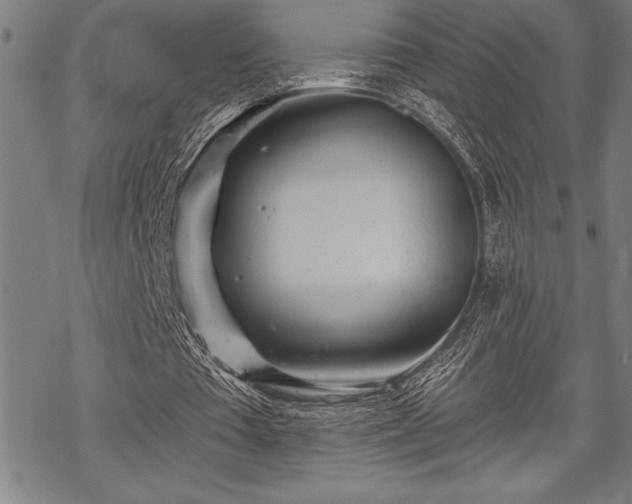 X0000069380385200605150923