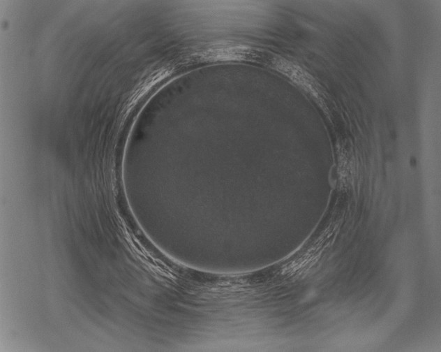 X0000069380386200605150923