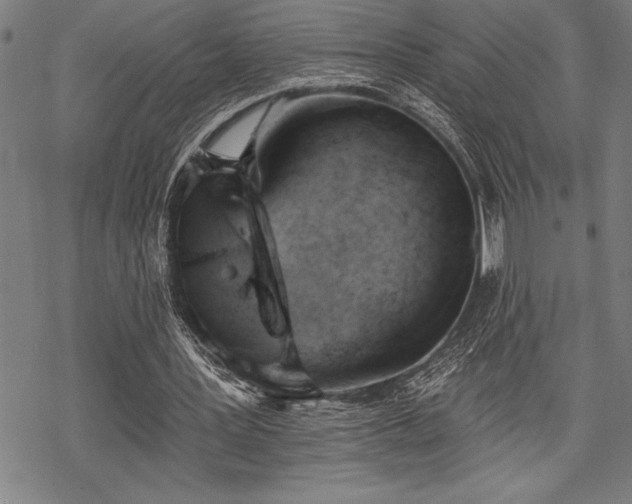 X0000069380387200605150923