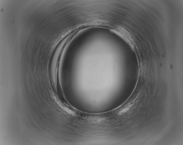 X0000069380389200605150923