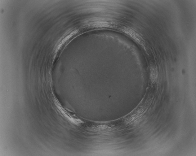 X0000069380390200605150923