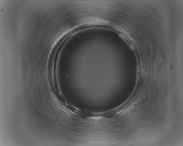 X0000069380391200605150923