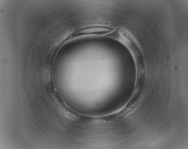 X0000069380393200605150923