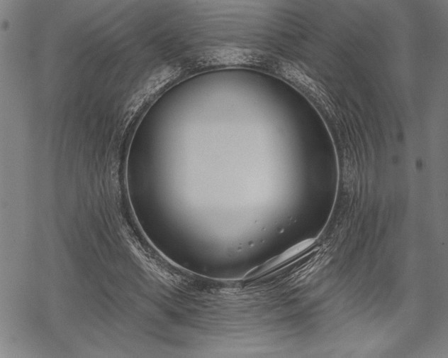 X0000069380394200605150923