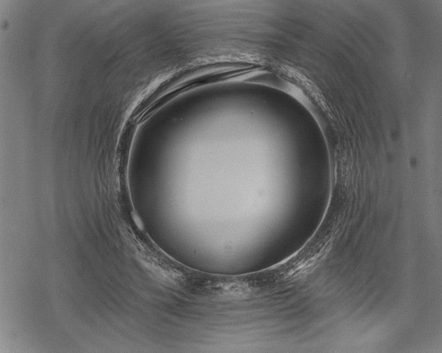 X0000069380395200605150923