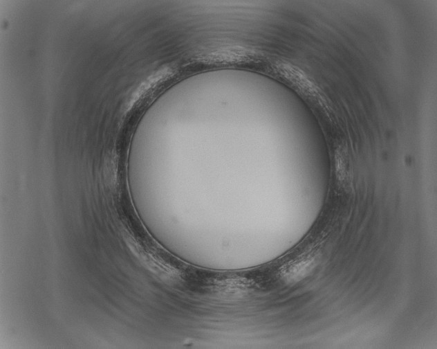 X0000069380396200605150923