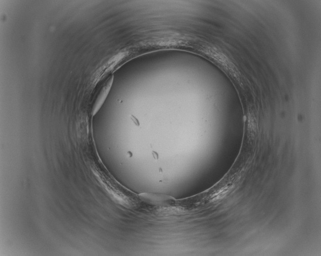 X0000069380397200605150923