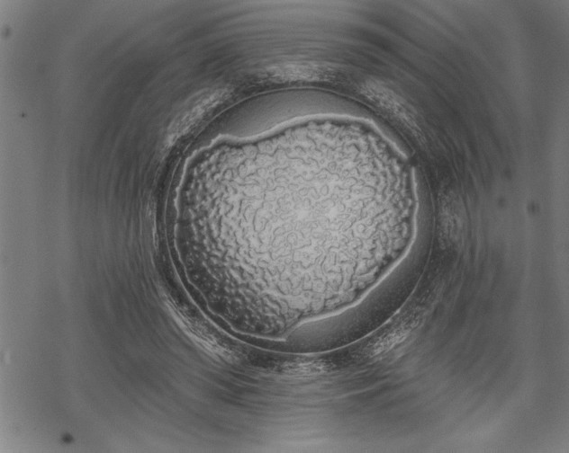 X0000069380398200605150923